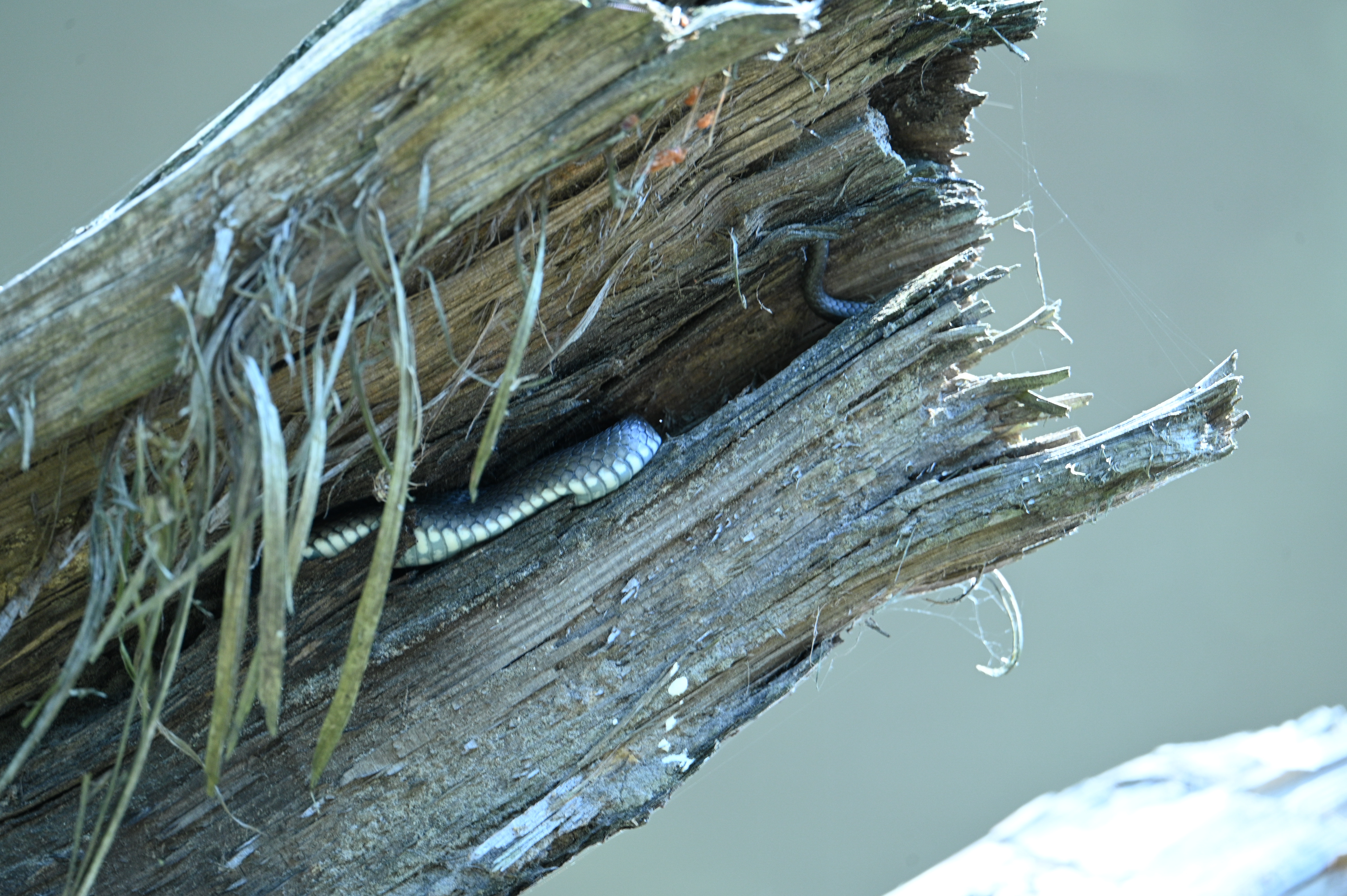 2025/07/09-14 - trip/DSC_0514.JPG